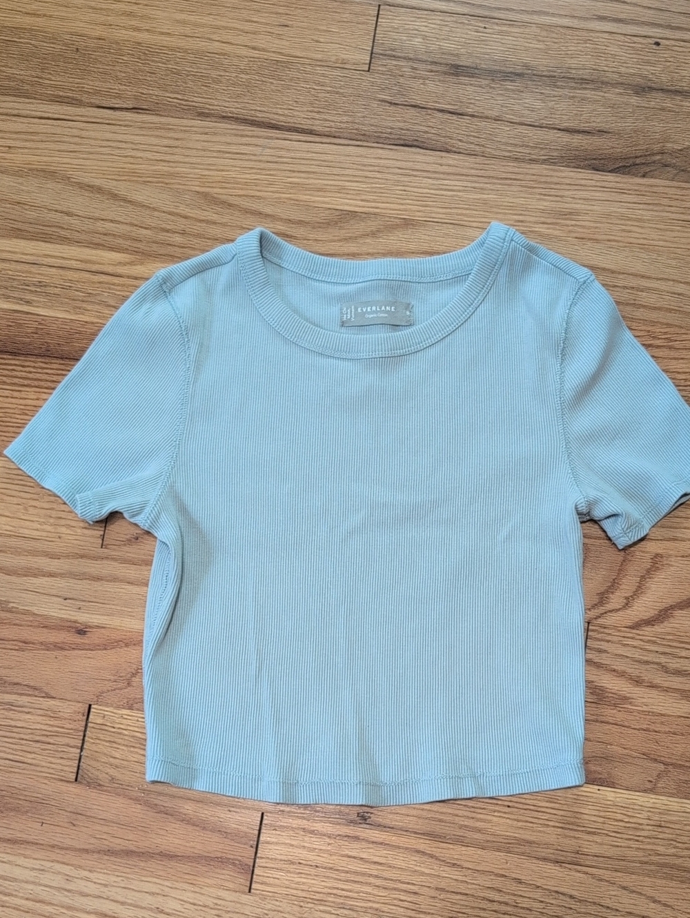 Everlane Pale Blue Ribbed Crop Tee